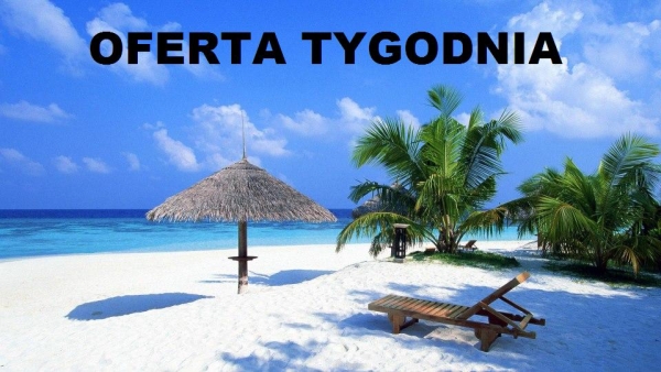 OFERTA TYGODNIA