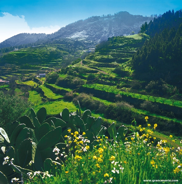 Gran Canaria